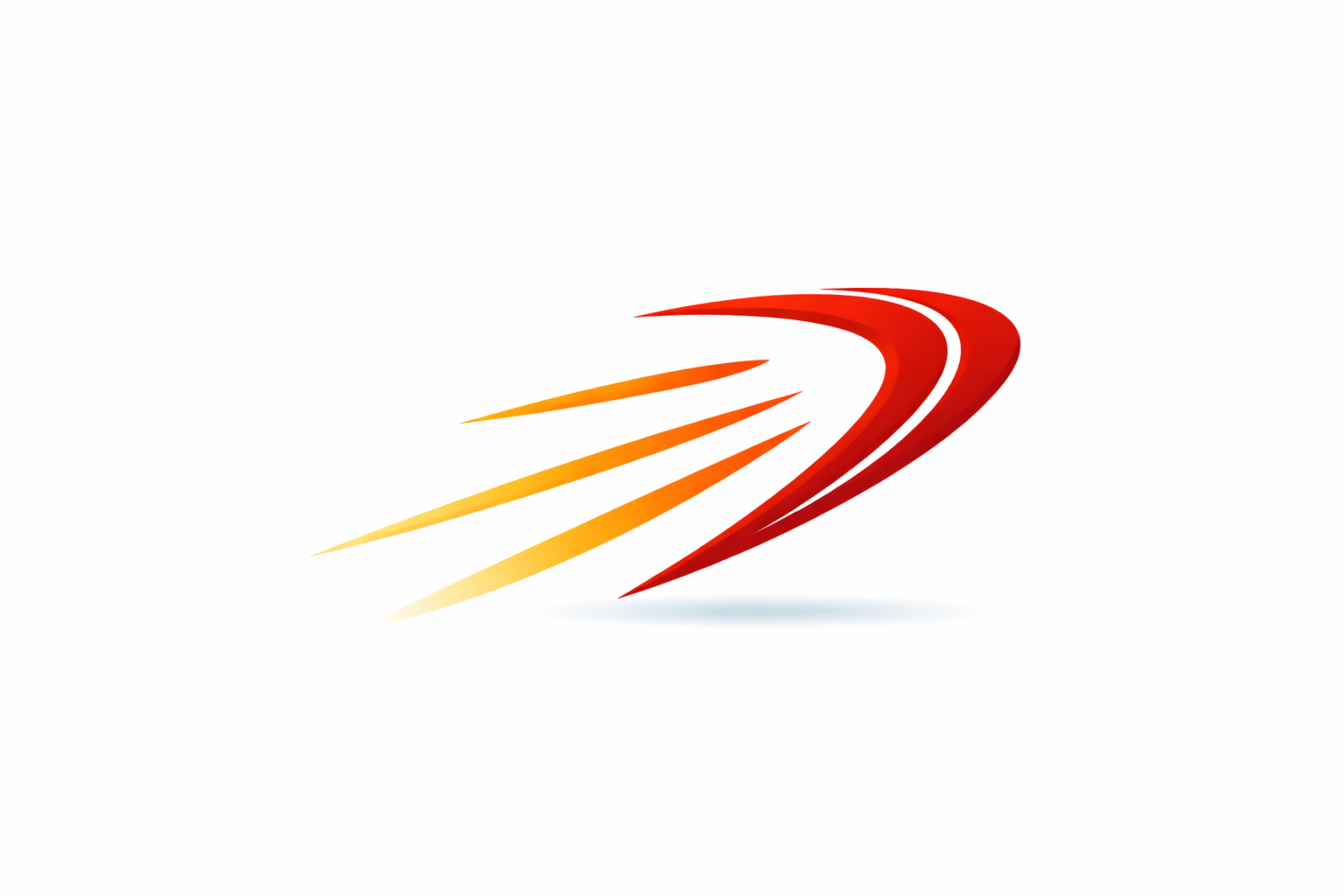 RACI logo